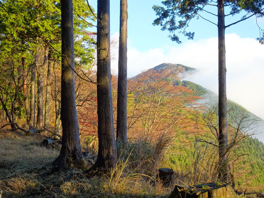 神奈川県の日本百名山は？
