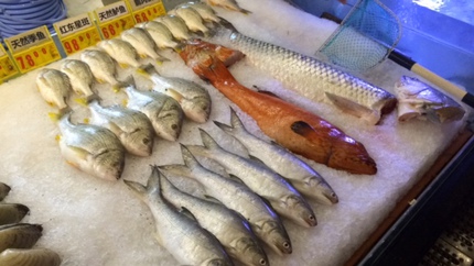 中華の魚介類達