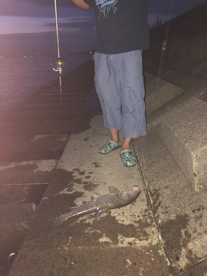 今年2回目のウナギ釣り！