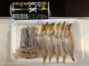 またハゼ釣りです