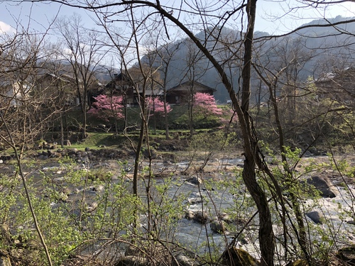 春の風景