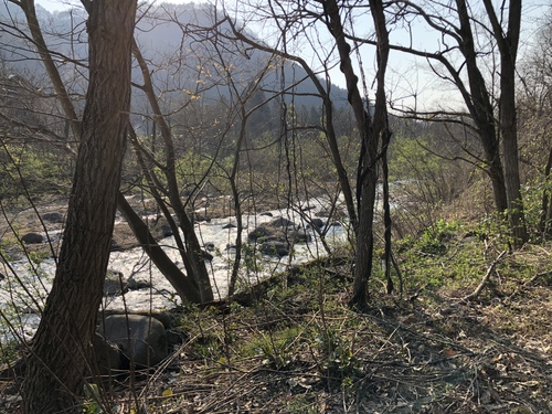 春の風景