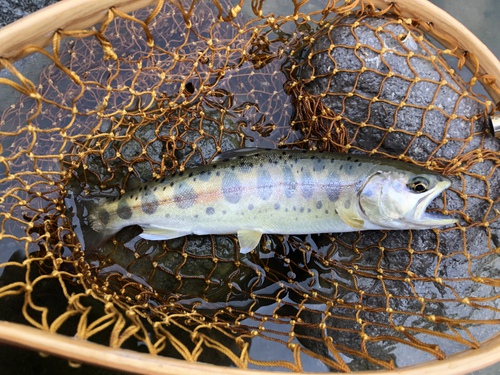 春から初夏へ