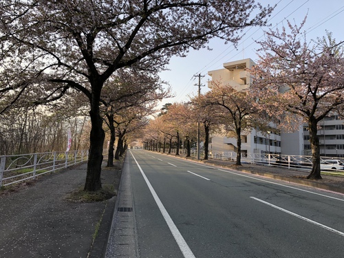 春の風景