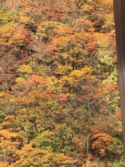 えんやこらまーかせ