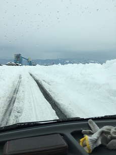 大雪につき… 2018/02/11 16:17:14