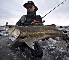 魚は定位置 2018/05/20 22:06:49