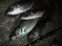 AJING in 富山