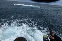 爆風ROCK！ 2015/11/17 15:11:49