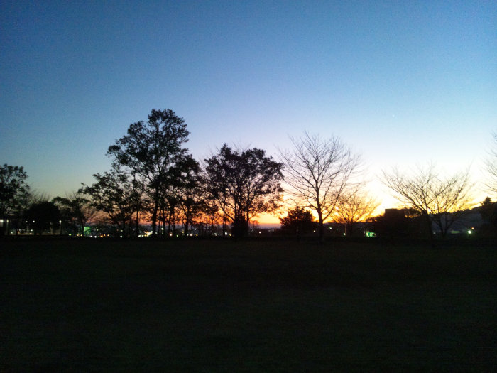 近所の公園