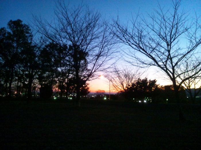 近所の公園