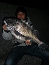 年無しチヌとチャリティー告知 2011/03/31 00:11:41
