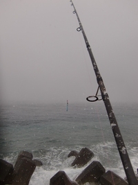 2012,初釣り