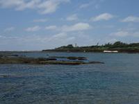 徳之島リーフ巡り。 2008/07/15 22:33:02