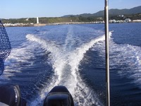 フカセ釣り、復調の兆し。 2010/05/14 09:37:25