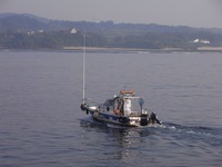 ニザ系乱舞の海。 2010/05/26 16:44:27