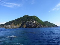 大漁♪　豊漁♪　お魚祭り・・・笑 2010/10/14 08:45:39