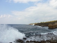 徳之島、ご当地１０回クイズ。 2011/02/15 19:32:35