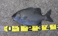 超絶・・・不調。 2010/04/30 20:02:25