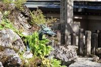 GW 　天川村　 松林オートキャンプ場　3