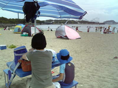 わかめの海