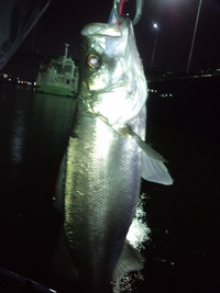 Ｋ－Ｆ　ＴＯＹＡＭＡ　ｂａｙ　ｓｔｙｌｅ 2011/05/27 10:13:38