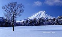 富士吉田　富士