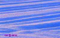 VIRGIN　SNOW　　の　思い出