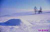 VIRGIN　SNOW　　の　思い出
