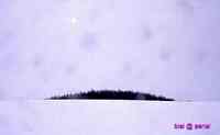 VIRGIN　SNOW　　の　思い出