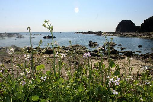 毘沙門釣りキャン