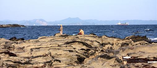 貝殻の浜　キャンプ　　　