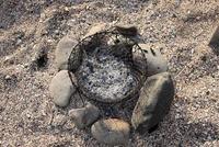 貝殻の浜　キャンプ　　朝