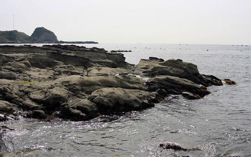 貝殻の浜　キャンプ　　　
