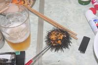 神割崎　２日目