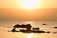 キューンとする　　夏の　終わり 2011/10/07 06:10:31