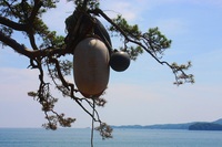 結構ロングな夏休み５