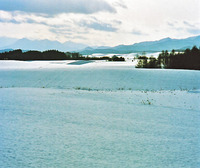 美瑛　　雪　　 2011/10/28 22:10:26