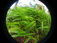 出れない週末　　駄物買い物　ツアー(-_-;) 2011/09/03 17:59:04