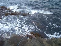 毘沙門釣りキャン