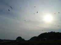 ☆ＧＷ　毘沙門天　３