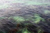 毘沙門の釣り