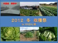 2012 冬　収穫祭 2012/12/10 20:45:49