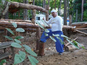 てるゆき　七変化！？