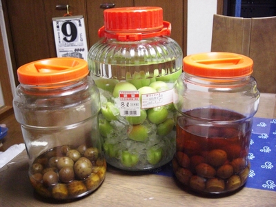 梅酒　有りました。
