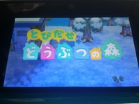 いまさら・・・？