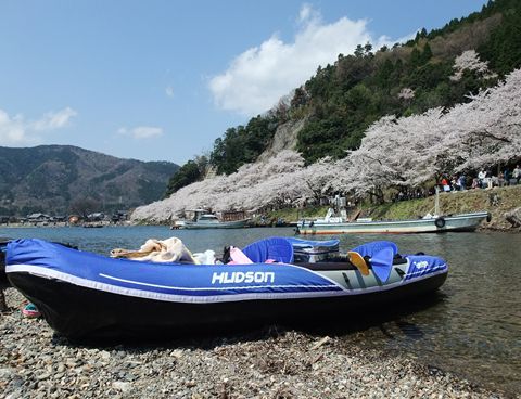 お花見カヤック　2013