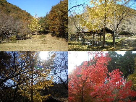 アウトドアへ全力疾走