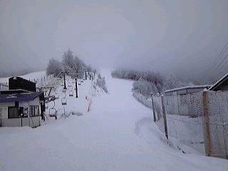 野麦峠スキー場パウダー
