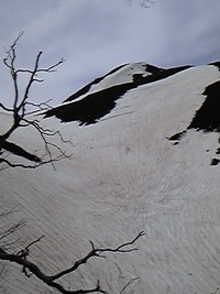 20100606白山ﾊﾞｯｸｶﾝﾄﾘｰ